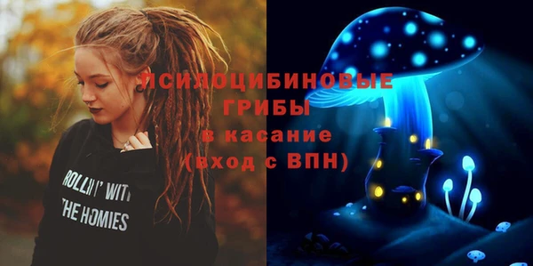 дживик Ачинск