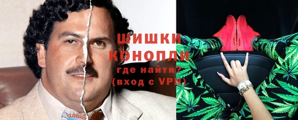 мдпв Долгопрудный