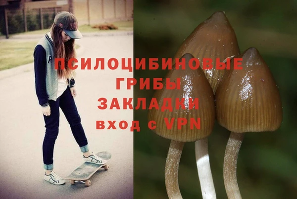 не бодяженный Абдулино